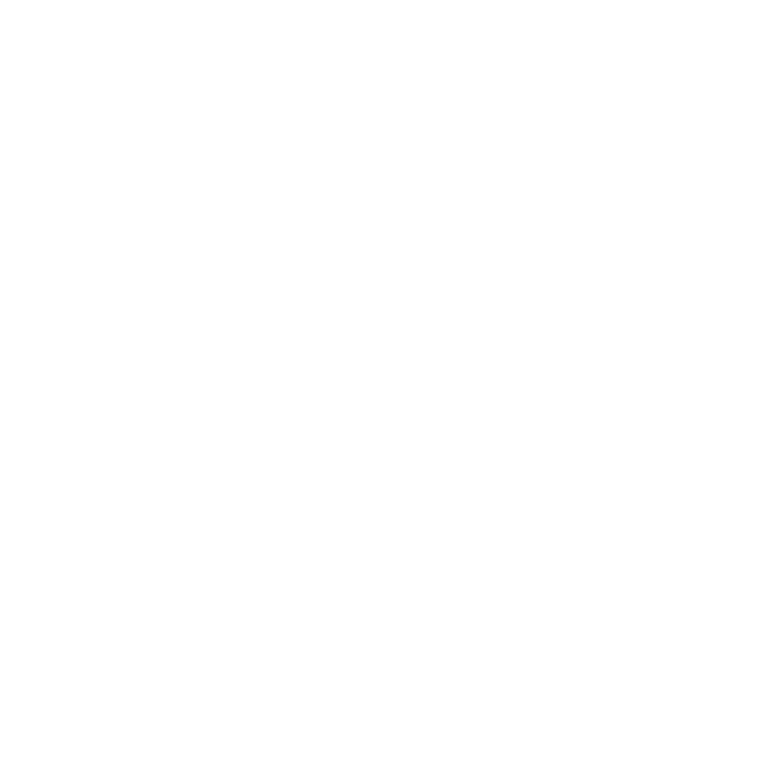 SEBRAE